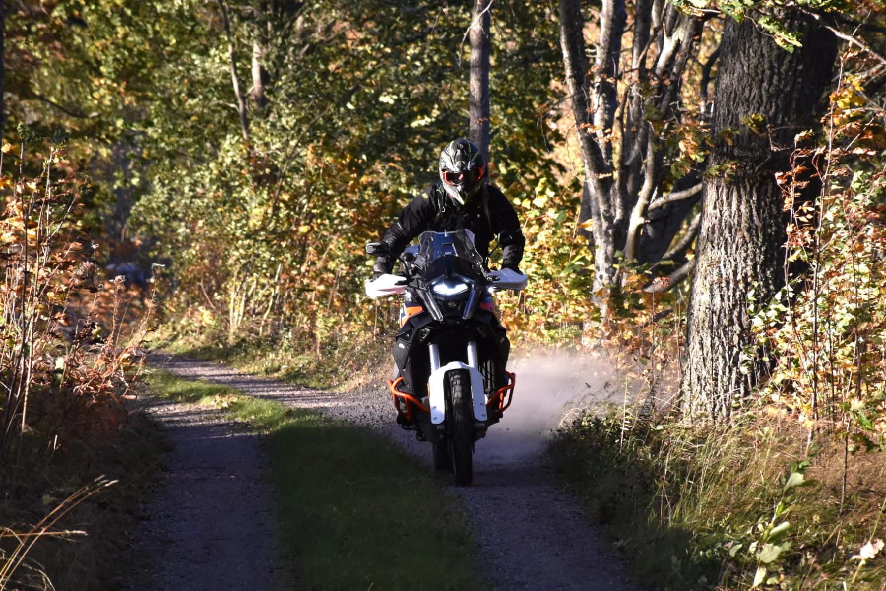 1390 har massor av stödsystem som kan användas när man är ute och sladdar.